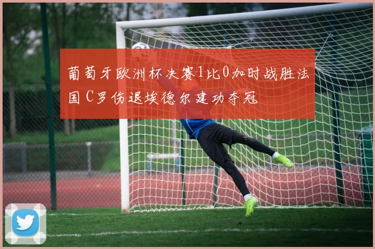 葡萄牙欧洲杯决赛1比0加时战胜法国 C罗伤退埃德尔建功夺冠