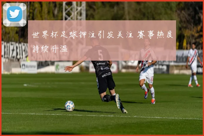 世界杯足球押注引发关注 赛事热度持续升温