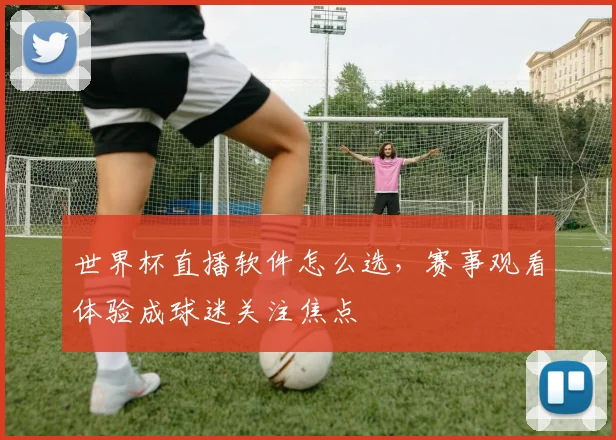 世界杯直播软件怎么选,赛事观看体验成球迷关注焦点
