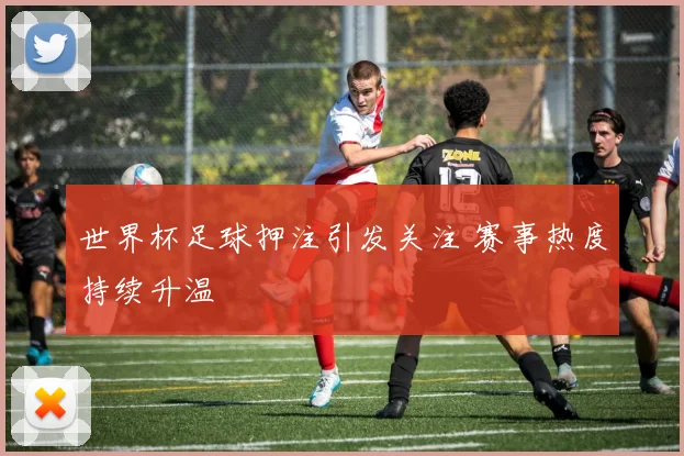 世界杯足球押注引发关注 赛事热度持续升温