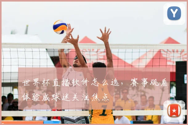 世界杯直播软件怎么选,赛事观看体验成球迷关注焦点