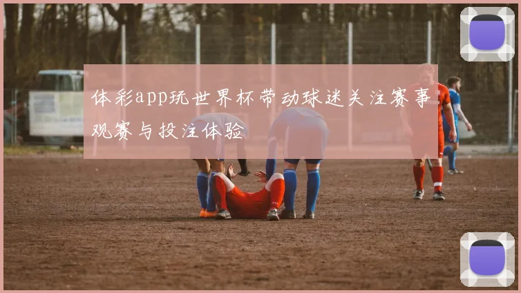 体彩app玩世界杯带动球迷关注赛事观赛与投注体验
